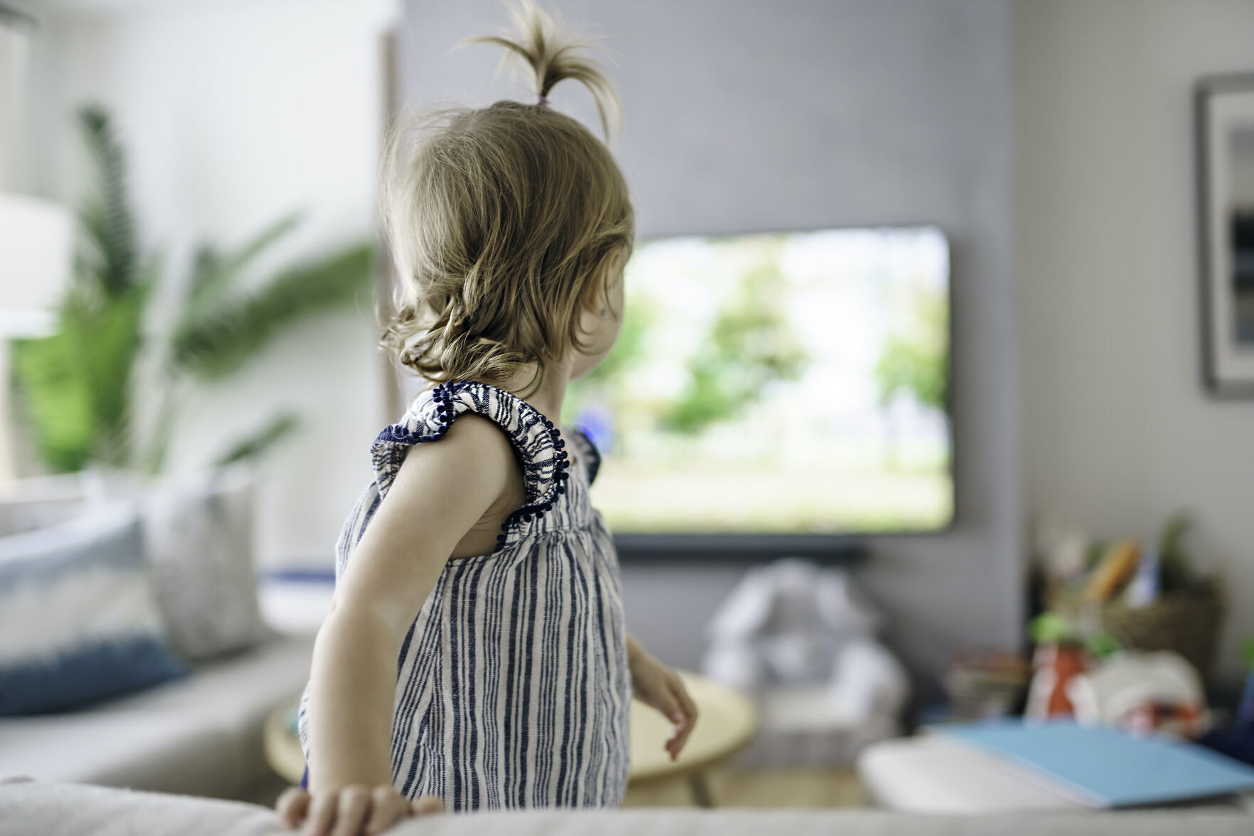 TV